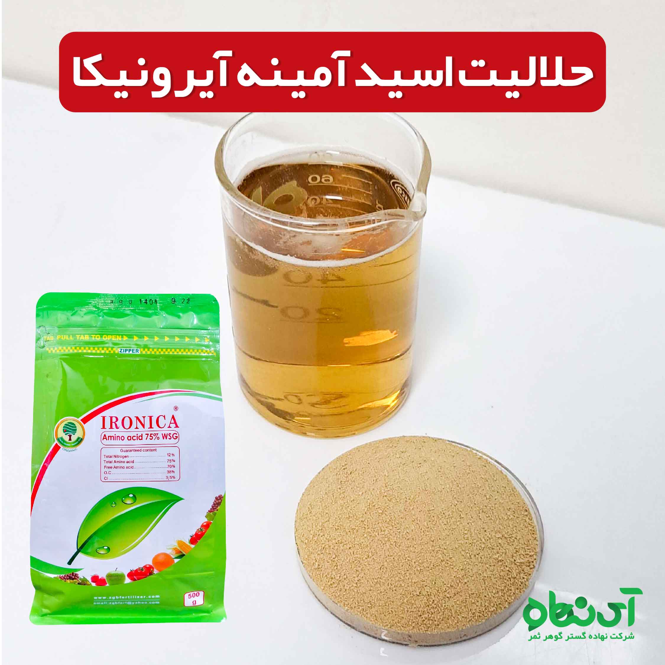  حلالیت اسید آمینه آیرونیکا